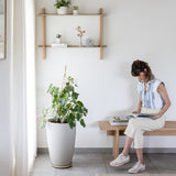 OAK ספסל עץ אלון מלא