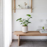 OAK ספסל עץ אלון מלא