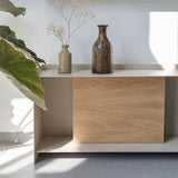 FLOW מזנון טלוויזיה בעיצוב מודרני