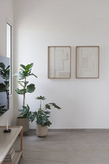 Maze Garden no 5 & no 3 סט תמונות בטון לסלון