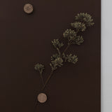 לוח למגנטים 60/60