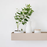 BOX
מדף מתכת בעיצוב קופסה