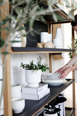 FRAME - set A8 ספריית מדפים עץ וברזל