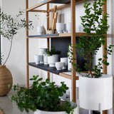 FRAME set A5 שידת מדפים פתוחה מעוצבת