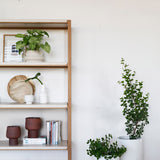 FRAME set A6 ספרית מדפים לחדר שינה או סלון