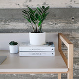 Frame Desk שולחן עבודה מעוצב