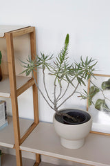 FRAME set B2 שידת מדפים פתוחה