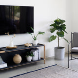 Frame set C half back