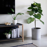 Frame set C full back FRAME שידת מדפים פתוחה