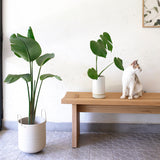 כד ממוחזר לעציץ כד מתכת עם ידיות