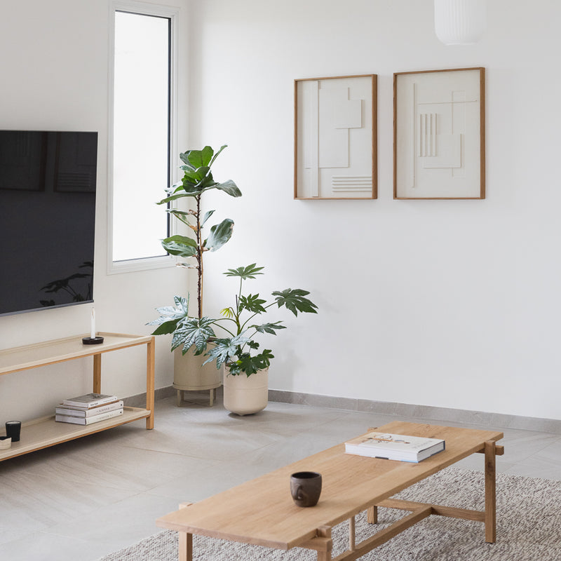 Frame set  C