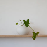 White Ceramic vase No.5