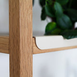 FRAME - set A8 ספריית מדפים עץ וברזל