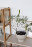 FRAME set B2 שידת מדפים פתוחה