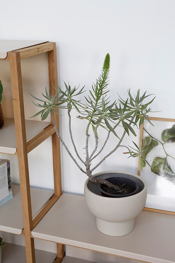 FRAME set B2 שידת מדפים פתוחה